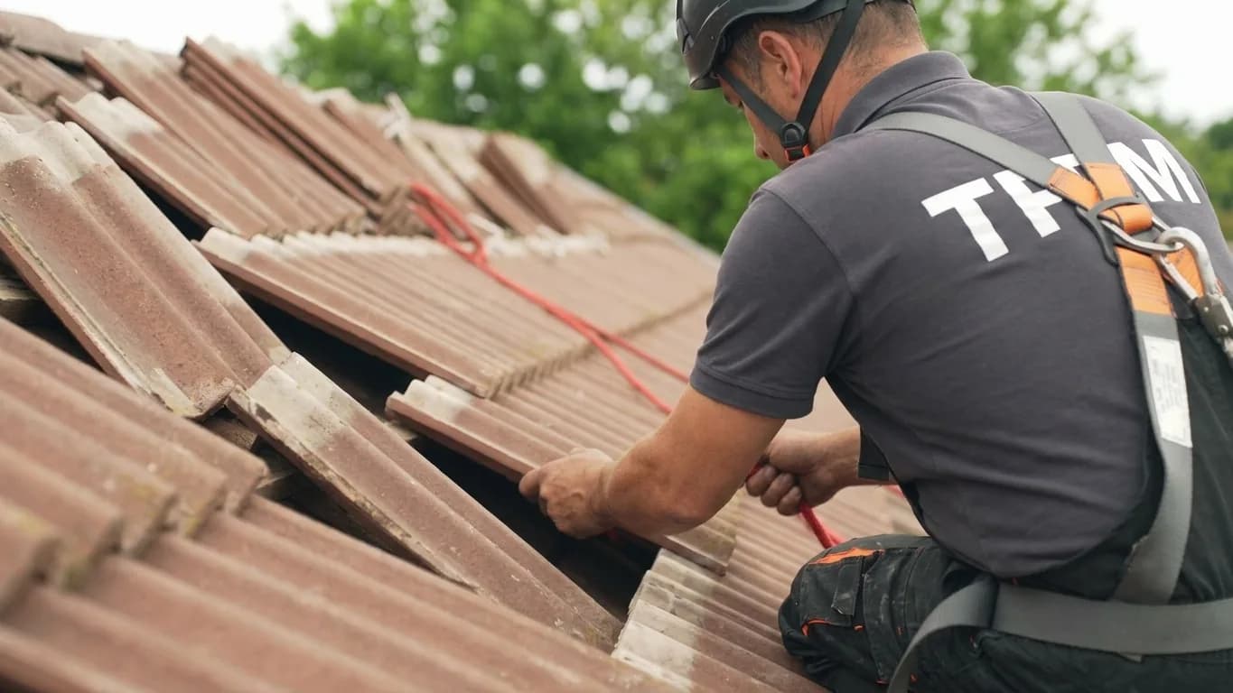 Expertise du terrain melunais Detail d'ardoises nettoyees sur une toiture ancienne du centre-ville de Melun